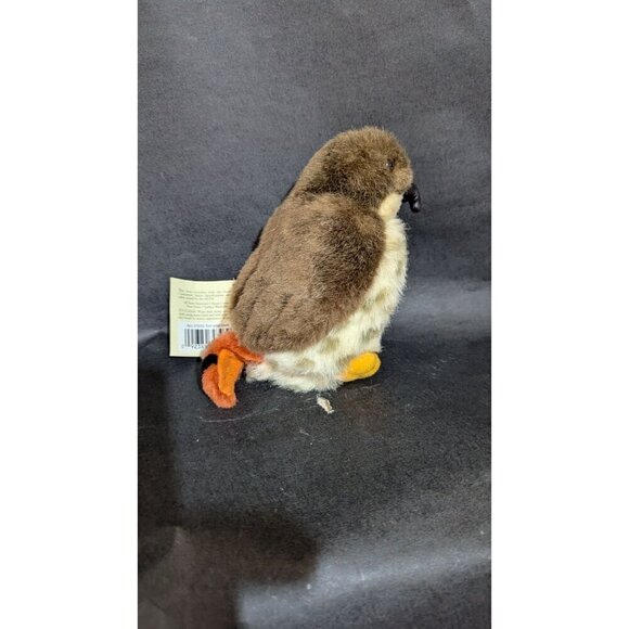 Audubon Red-Tailed Hawk 2012 Plush Wild Republic Birds K&M no sound Robin - Picture 10 of 13
